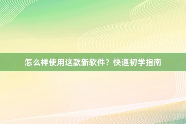 怎么样使用这款新软件？快速初学指南